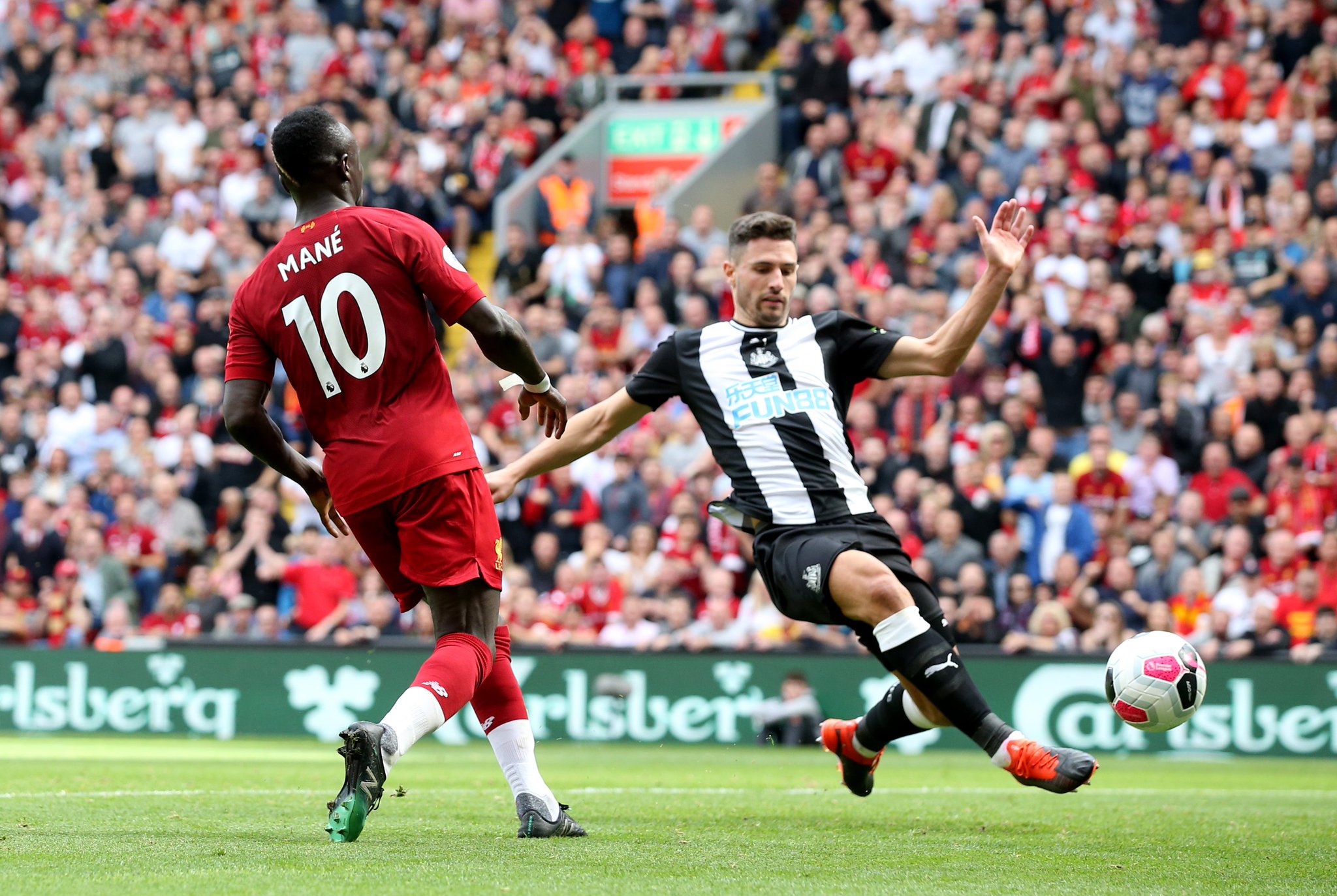 全场只有 全场只有